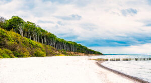 Gespensterwald Nienhagen und Strand an der Steilküste Nienhagen